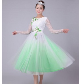 Chinese traditional folk dance dresses women's female competition stage performance chinese folk yangko fairy chorus dancing dresses