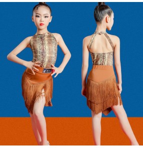 Children Brown snake pattern fringed Latin dance dress for girls ballroom latin training clothes for girls professional Split competition latin ballroom performance clothing