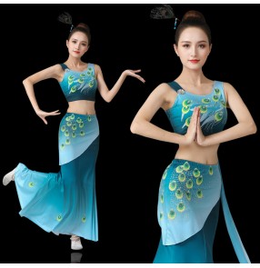 Chinese Dai minority performance costume female peacock dance costume blue gradient fishtail skirt practice belly performance costume