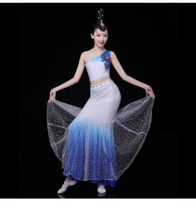 Chinese folk dance Dai minority dance costume female bag hip fishtail skirt peacock dance performance costume art test suit