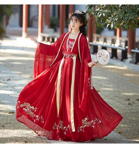 Chinese Style hanfu Han Tang Song Ming Dynasty Dresses Female Costume ...