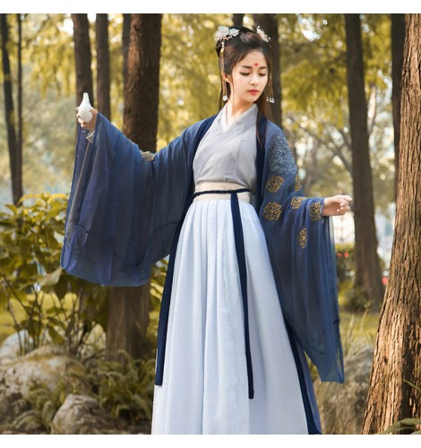 Chinese Traditional Fairy Costumes for girls women Ancient Han Dynasty ...
