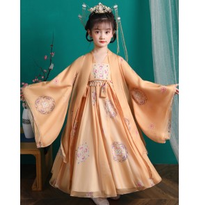 Girls Chinese Hanfu Fairy dresses children's tang dynasty empress costume long-sleeved princess Tang suit Guzheng performance costume