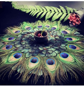 Peacok Feather table mat Cup mat Creative home living room decoration peacock feather cushion modern European style table decor